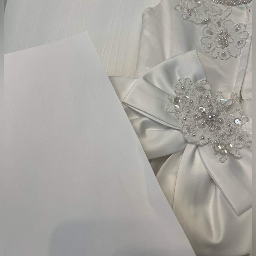 Lady Eleanor for David's Bridal Flower Girl Dress- Size 6 - Picture 16 of 17